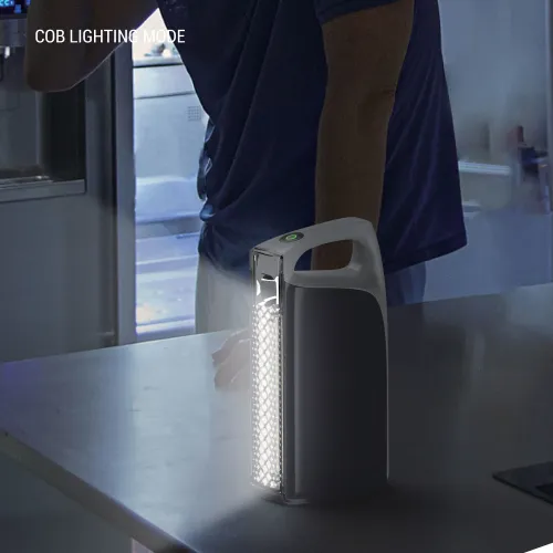 Philips SFL3402/56 Multi-Functional Portable Charger Light