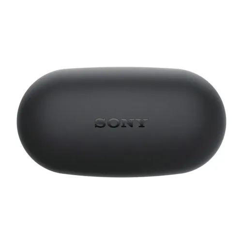 Sony WF-XB700 True Wireless Earbuds