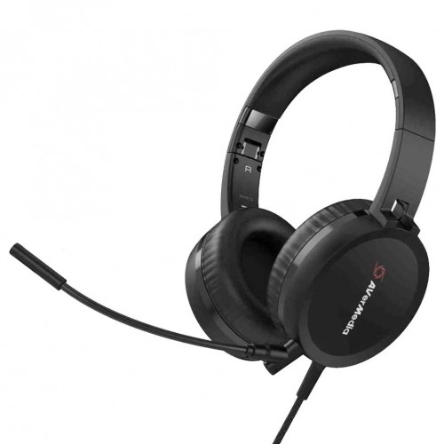 AVerMedia BO317 Camera & Headphone Video Conference Kit-IOSBD