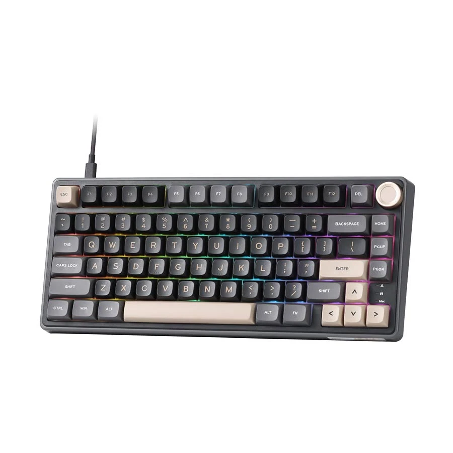 Royal Kludge RK R75 Phantom Brown Switch Hot-Swappable Wired RGB Mechanical Gaming Keyboard with MDA Keycaps