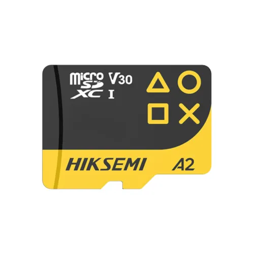 Hiksemi FUTURE HS-TF-G3 256GB MicroSD Memory Card-IOSBD