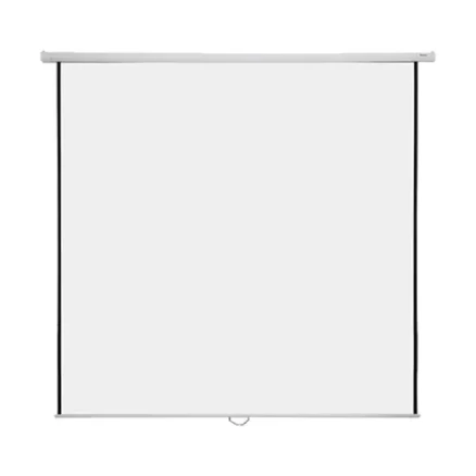 Super View 70 x 70 Inch Electric Projector Screen